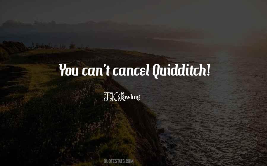 Quotes About Quidditch #251493