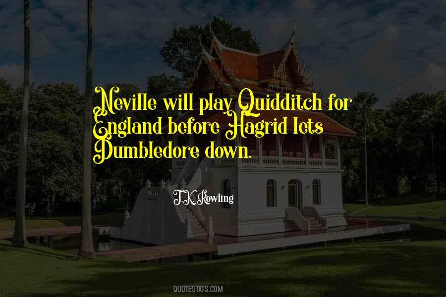 Quotes About Quidditch #511518