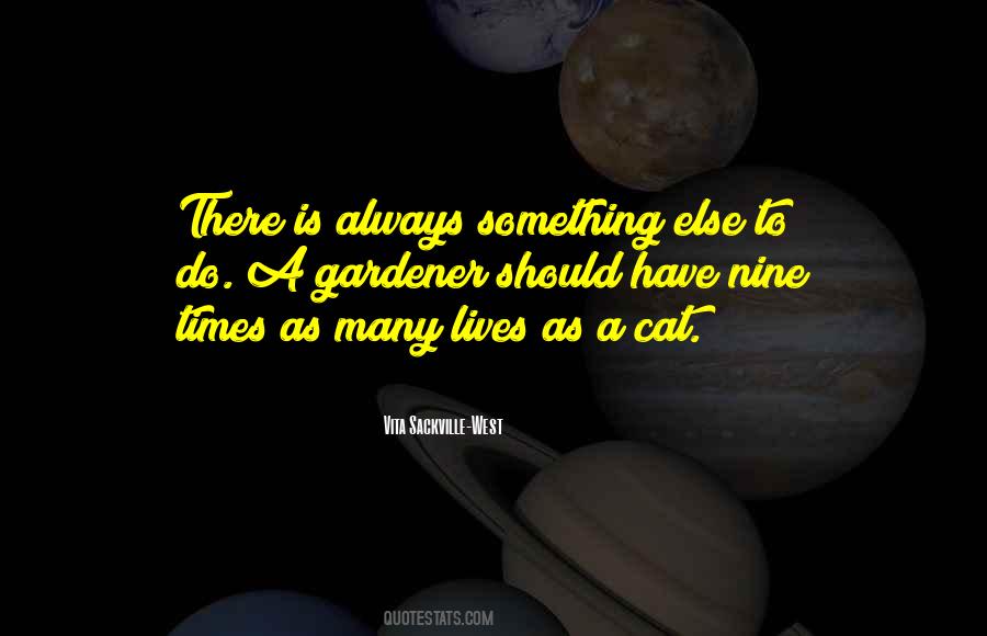 Quotes About Having Nine Lives #932711