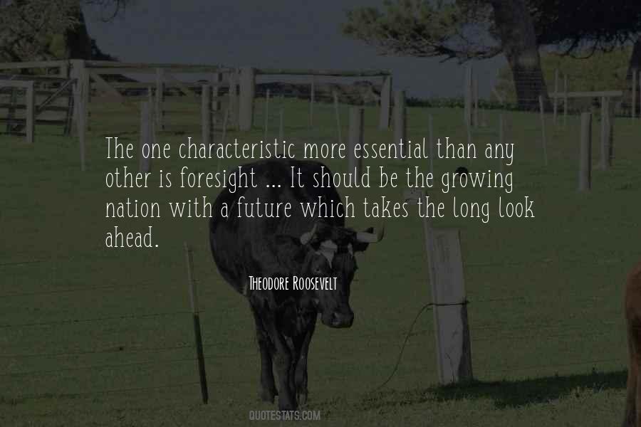 Quotes About Sweet Sixteen #889101