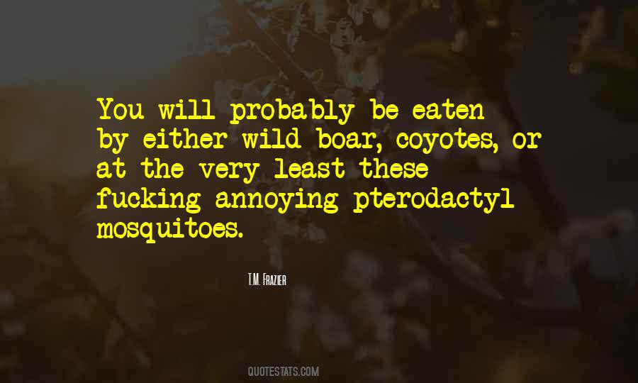 Quotes About Coyotes #344835
