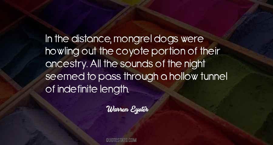 Quotes About Coyotes #385874