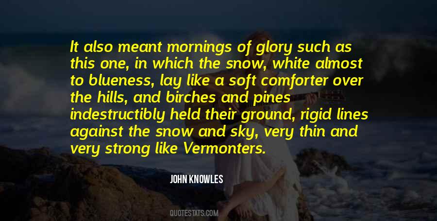 Addiction To Morphine Quotes #294751