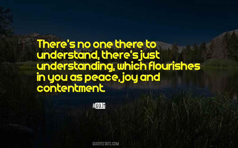 Quotes About Contentment And Peace #370001