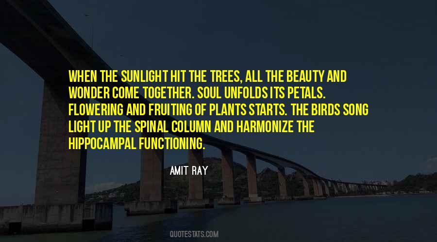 Song Of The Soul Quotes #691202