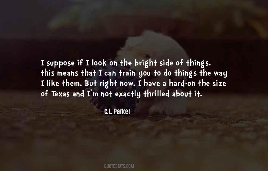 Quotes About Look At The Bright Side #634178