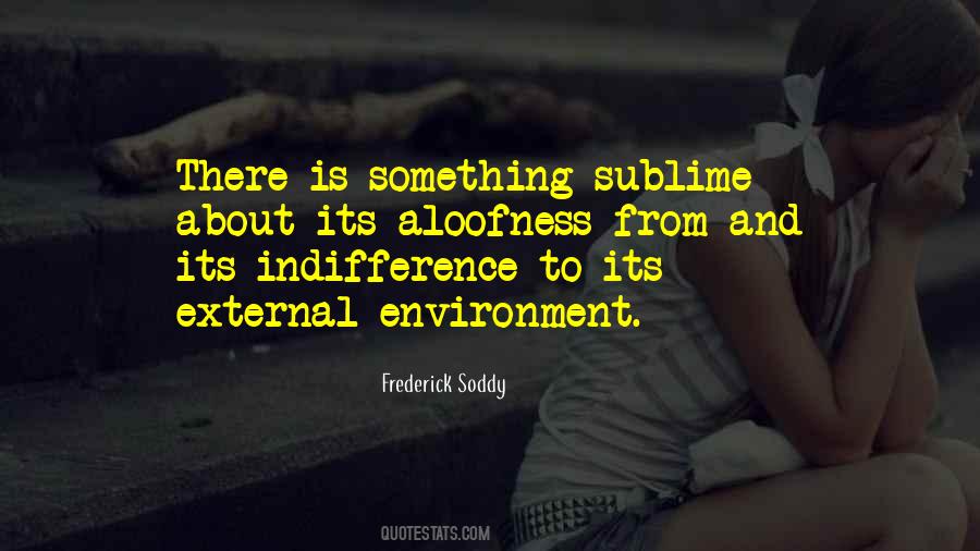 Quotes About External Environment #59802