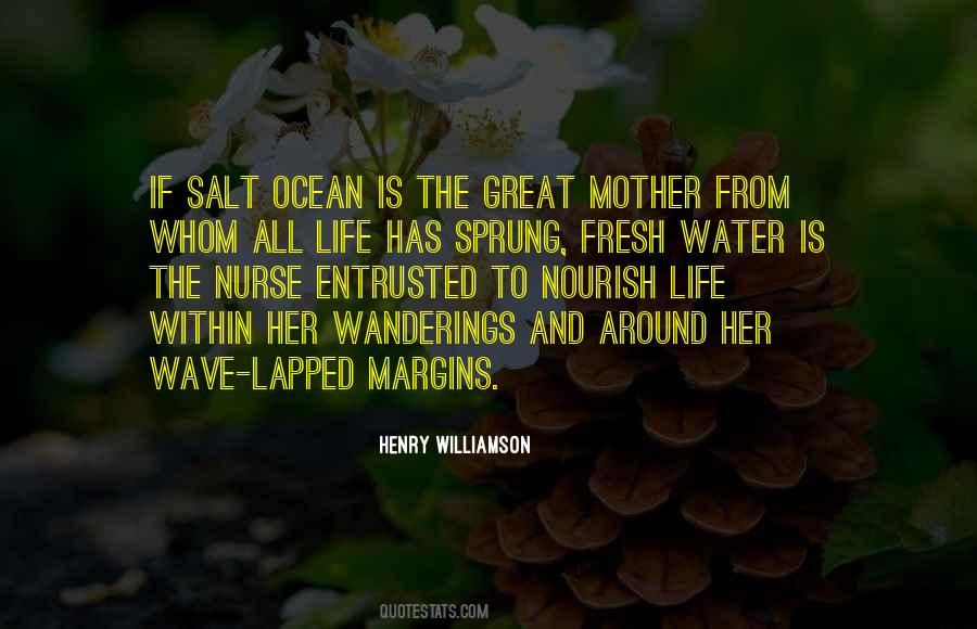 Water Salt Quotes #1669034