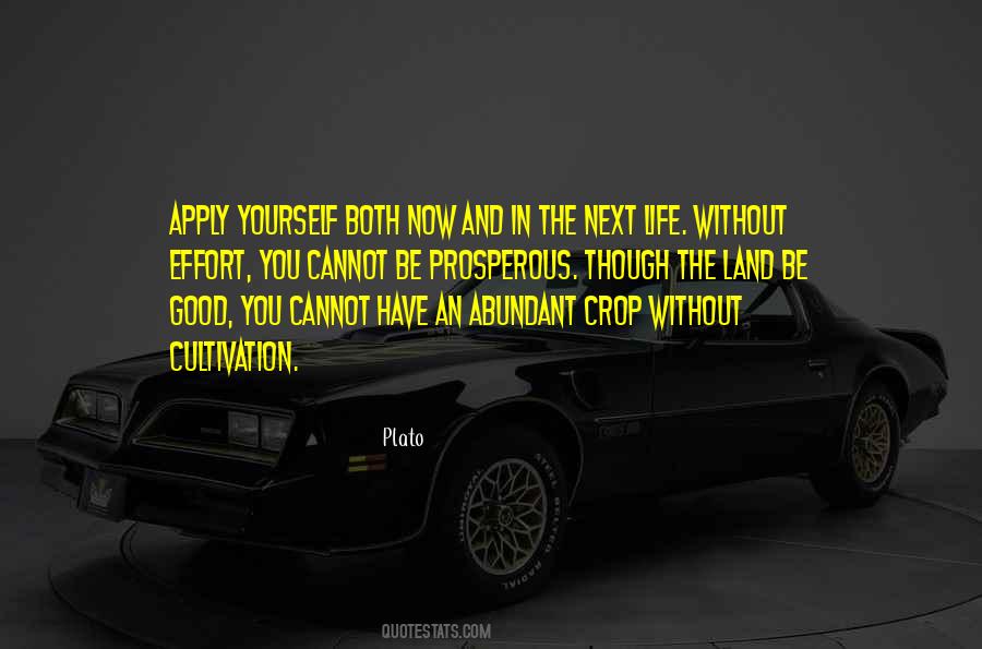 Quotes About Effort In Life #324136