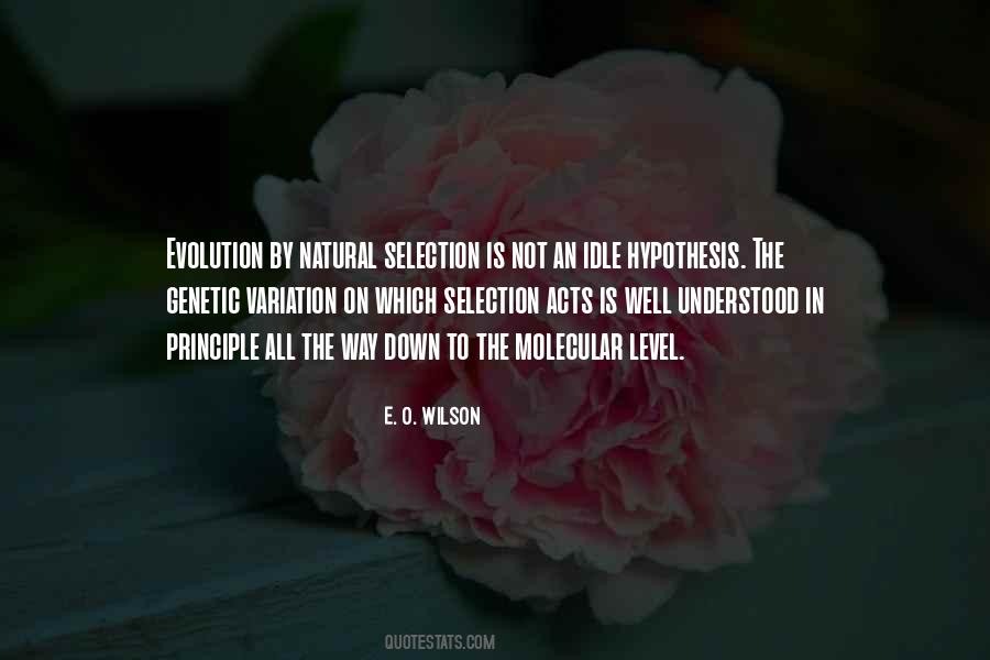 Quotes About Natural Selection #553519 Quotes About Natural Selection #553519