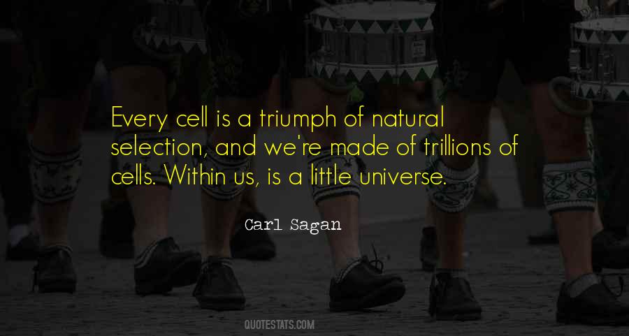 Quotes About Natural Selection #649158 Quotes About Natural Selection #649158