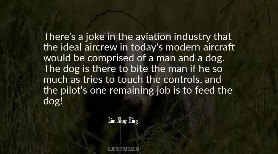 Quotes About Aircraft #486858