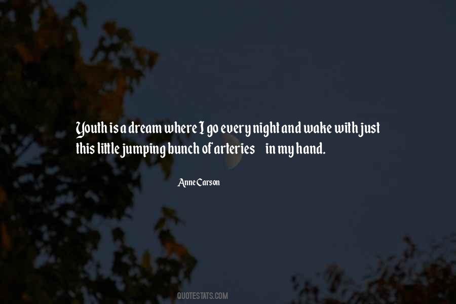 Quotes About Dream Night #250214
