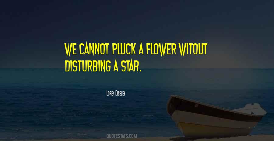 Quotes About A Flower #1237926