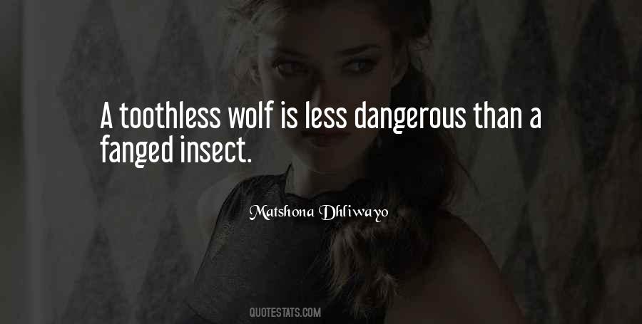 Quotes About Dangerous Words #1653884