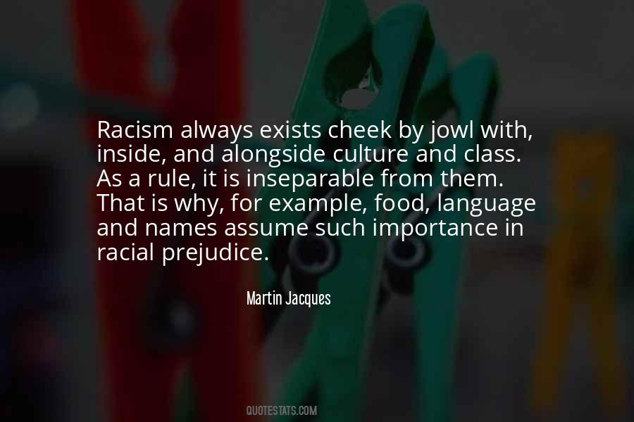 Quotes About Prejudice And Racism #924103