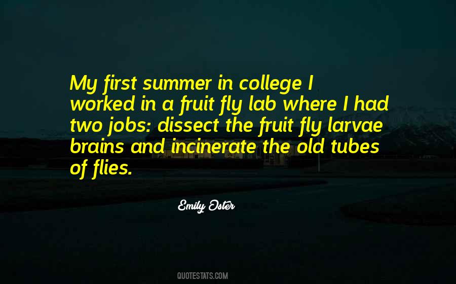 Quotes About Fruit Flies #241233