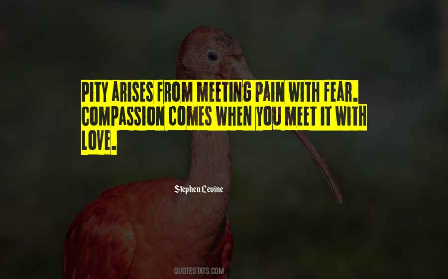 Quotes About Meeting Love #321610