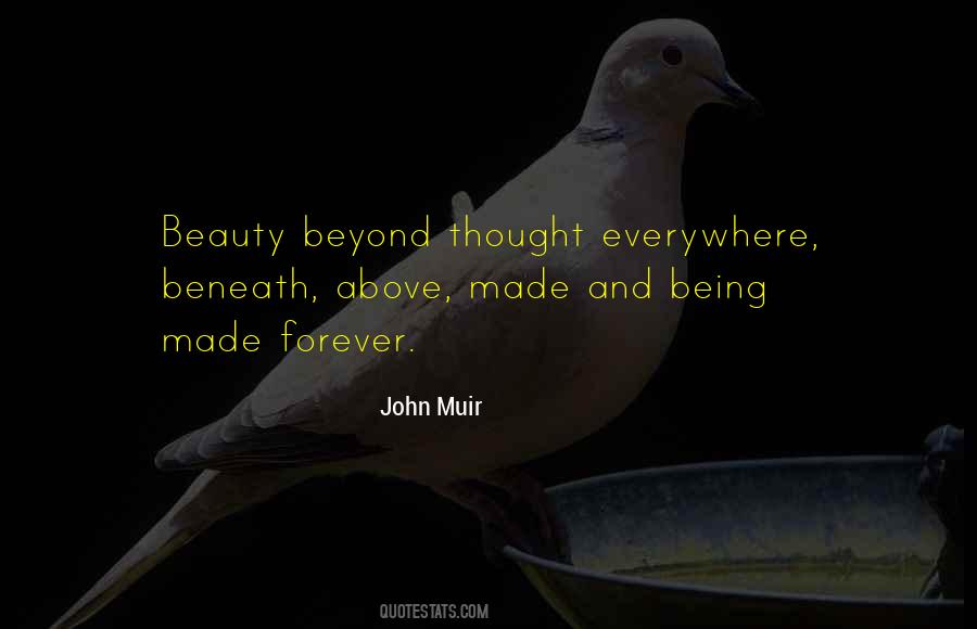 Quotes About Beauty Beneath #1413095