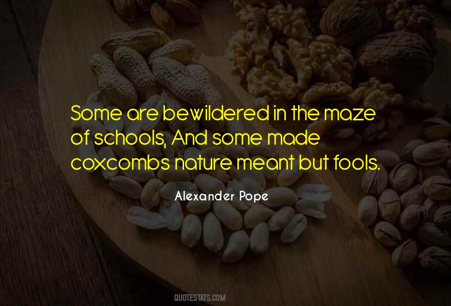 Quotes About Being Made A Fool #272305