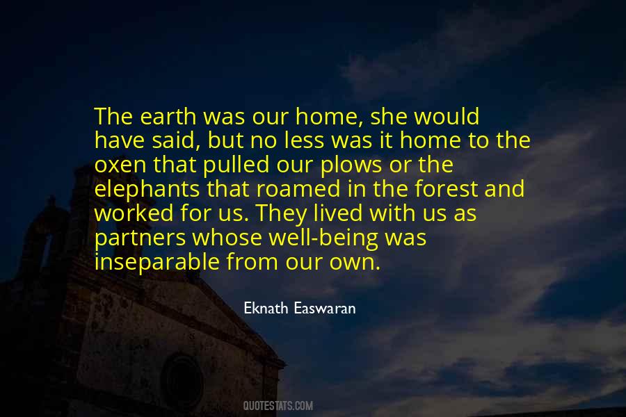 Earth Was Quotes #1331031