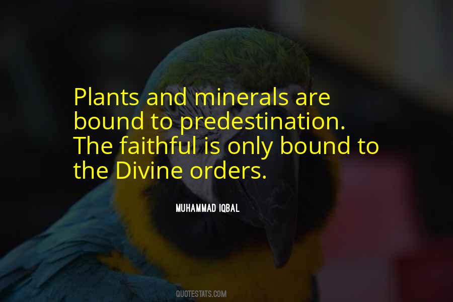 Quotes About Minerals #1266112