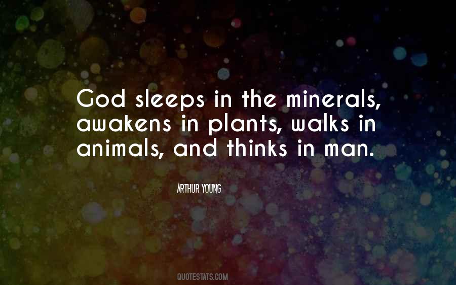 Quotes About Minerals #1860945