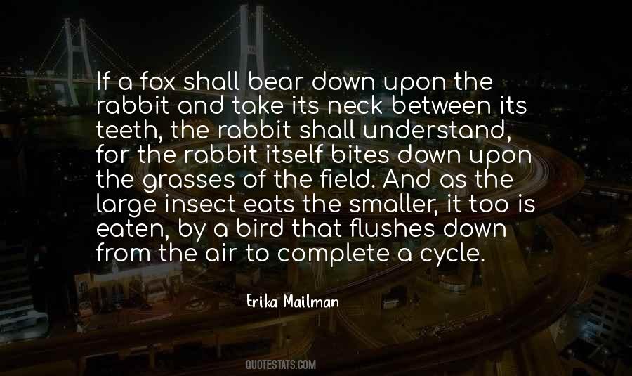 A Fox Quotes #83188