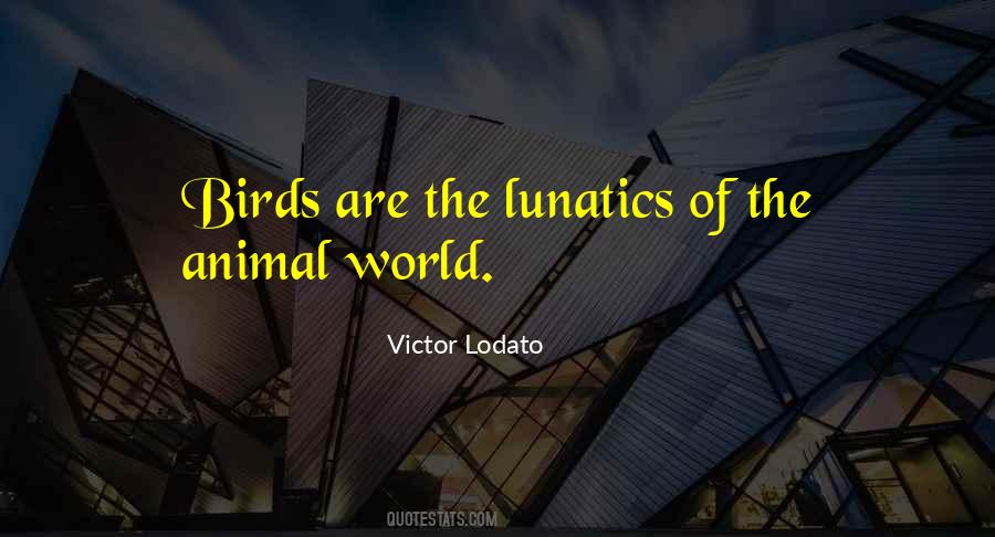 Quotes About Lunatics #803885