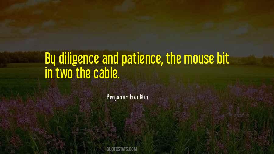 Quotes About Diligence And Patience #564398