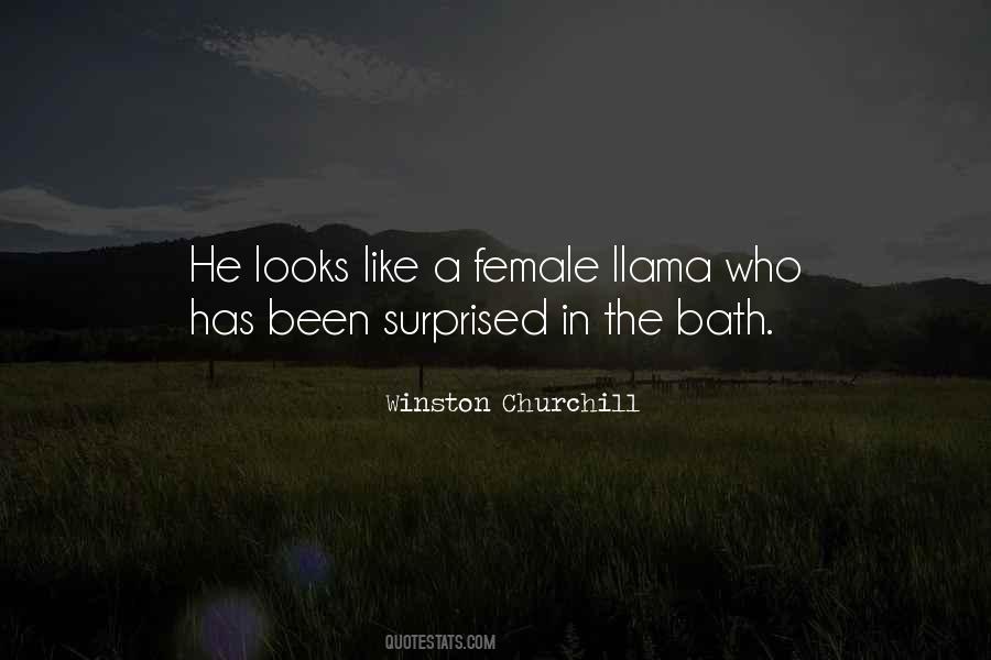Haloes Hawaiian Quotes #1279578
