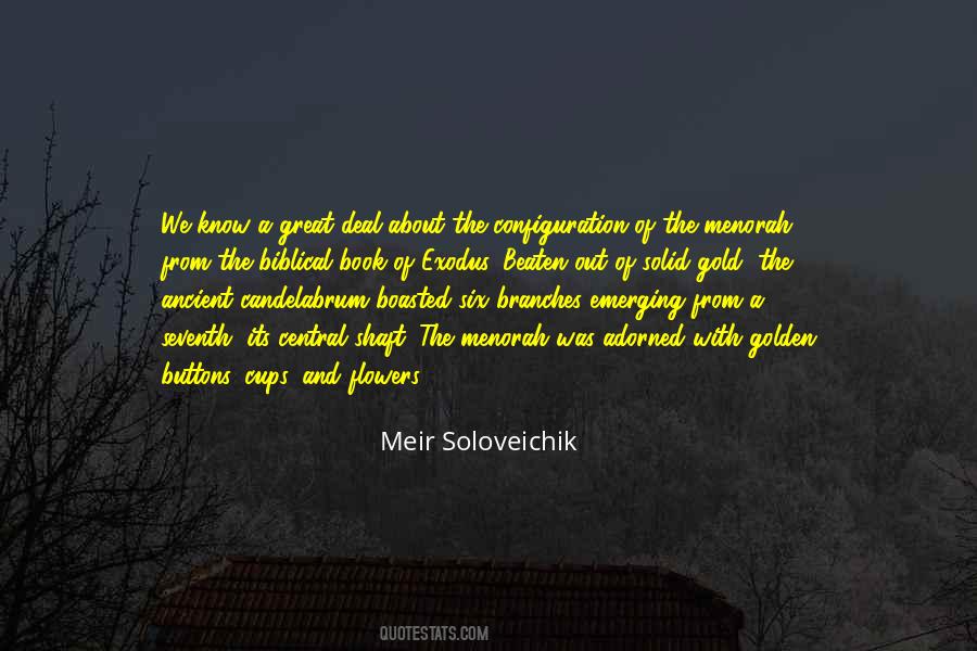 Quotes About Solid #107527 Quotes About Solid #107527