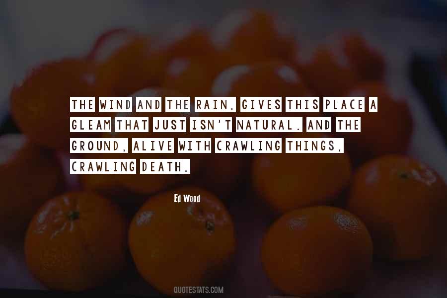 Quotes About Rain And Death #289132