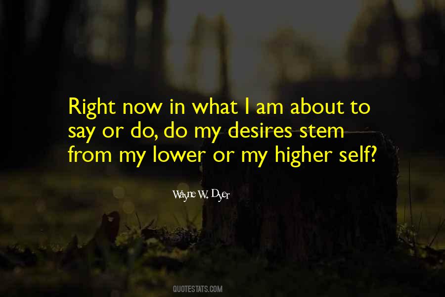 Quotes About Higher Self #368925