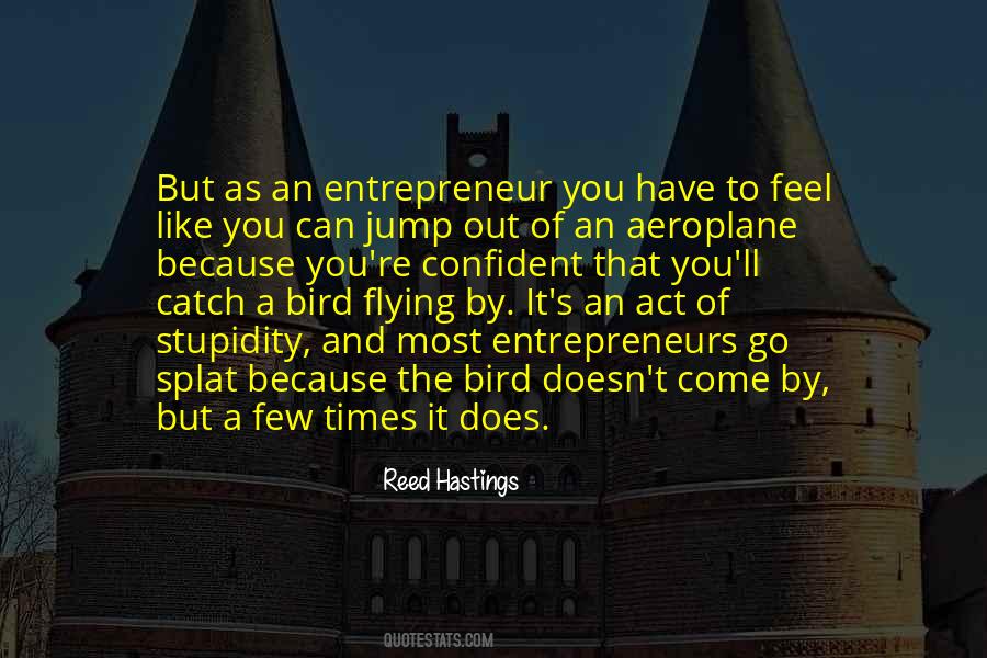 Quotes About Aeroplane #1493101