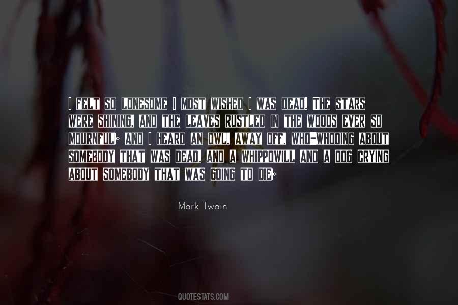 Quotes About Lonesome #853981