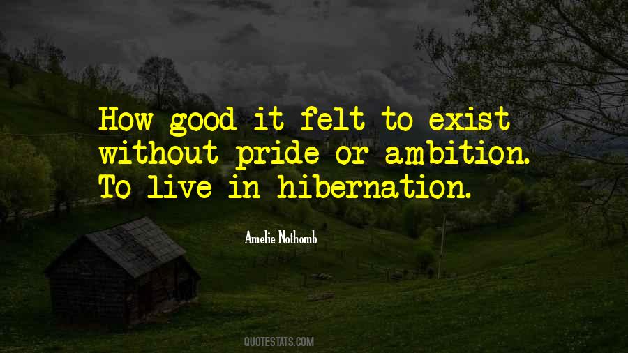 Good Ambition Quotes #777605