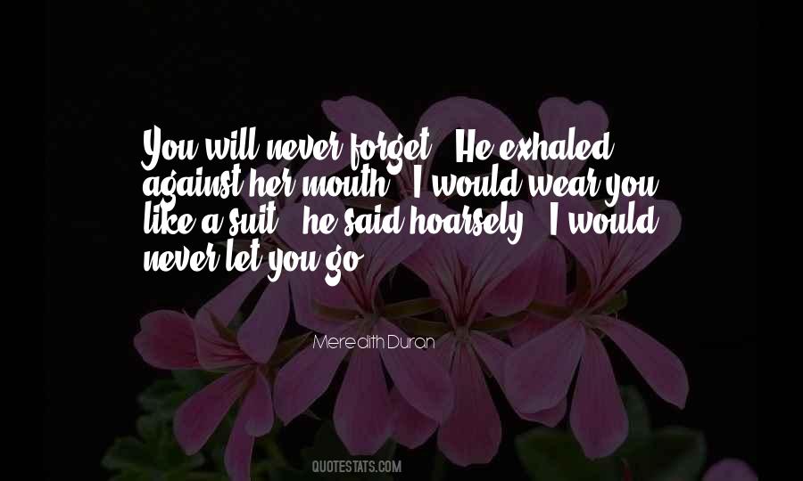 Quotes About I Will Never Forget You #1044094