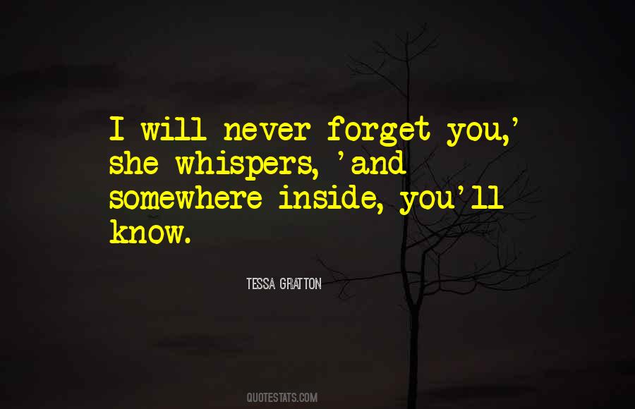 Quotes About I Will Never Forget You #1810203