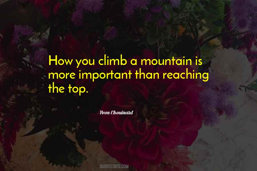 Quotes About Reaching The Top #1328404