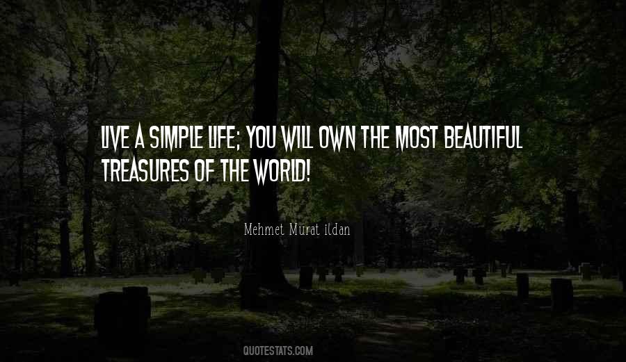 Quotes About A Simple Life #820515