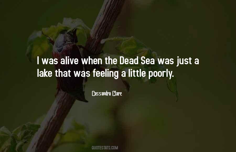 Quotes About Dead Sea #376973