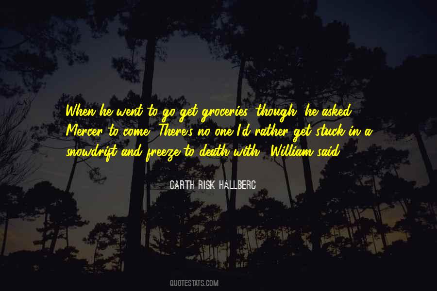 Quotes About Risk Of Love #108067