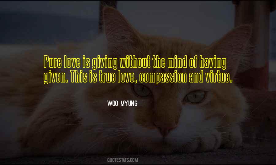Quotes About The Virtue Of Love #78990