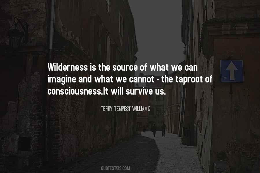 Quotes About Going Into The Wilderness #16707