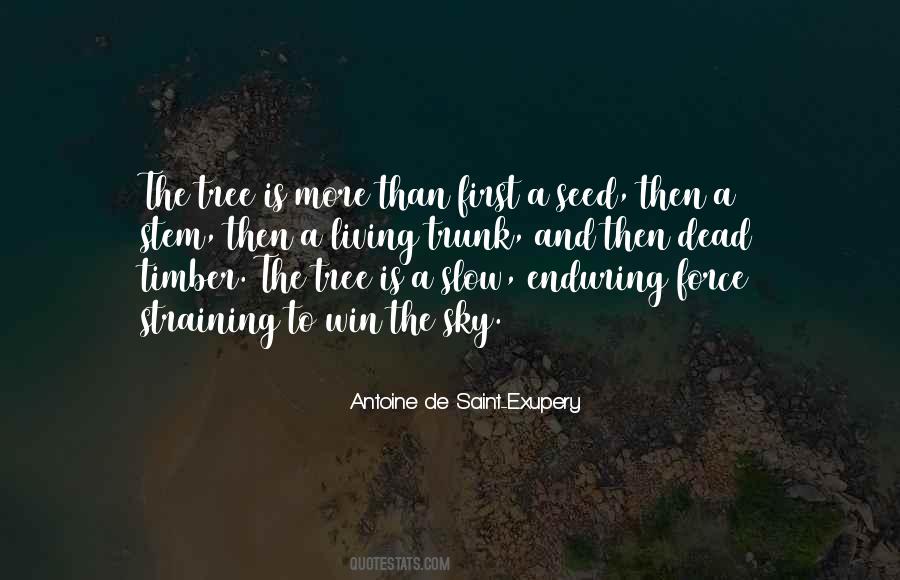 Dead Tree With Quotes #383942