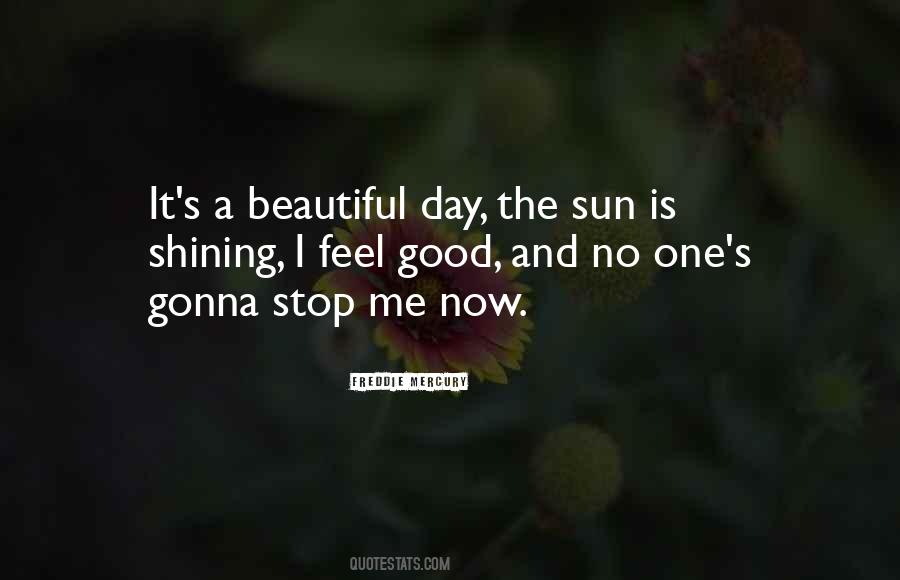 Quotes About A Beautiful Day #1309357