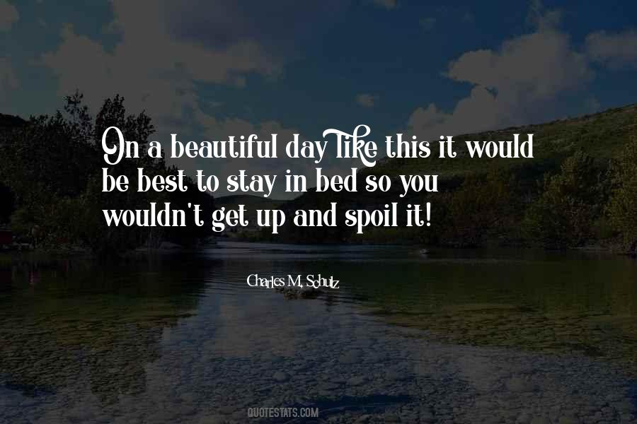 Quotes About A Beautiful Day #833959