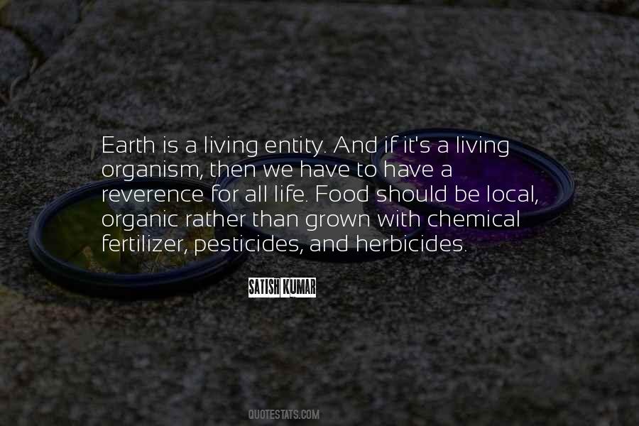 Quotes About Local Food #1369101