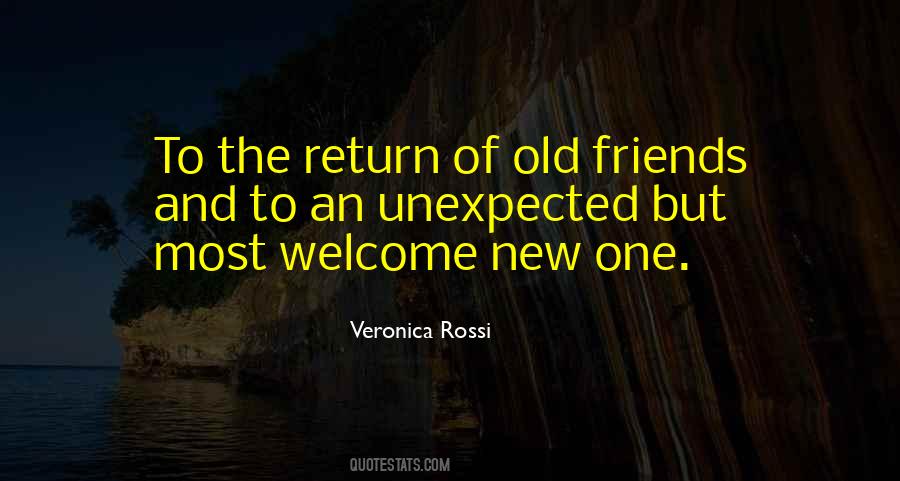 Quotes About New And Old Friends #1137832